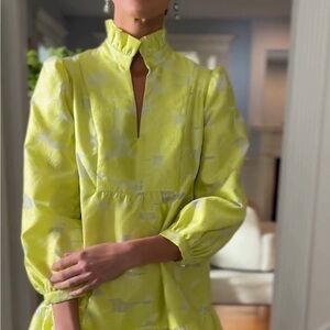 Tuckernuck Citron Fil Coupe Palmerston Dress size small - citron yellow green